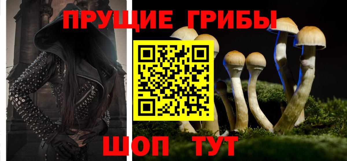 Галлюциногенные грибы Psilocybine cubensis  Вход с VPN  Кудымкар  Псилоцибиновые грибы ЛСД 