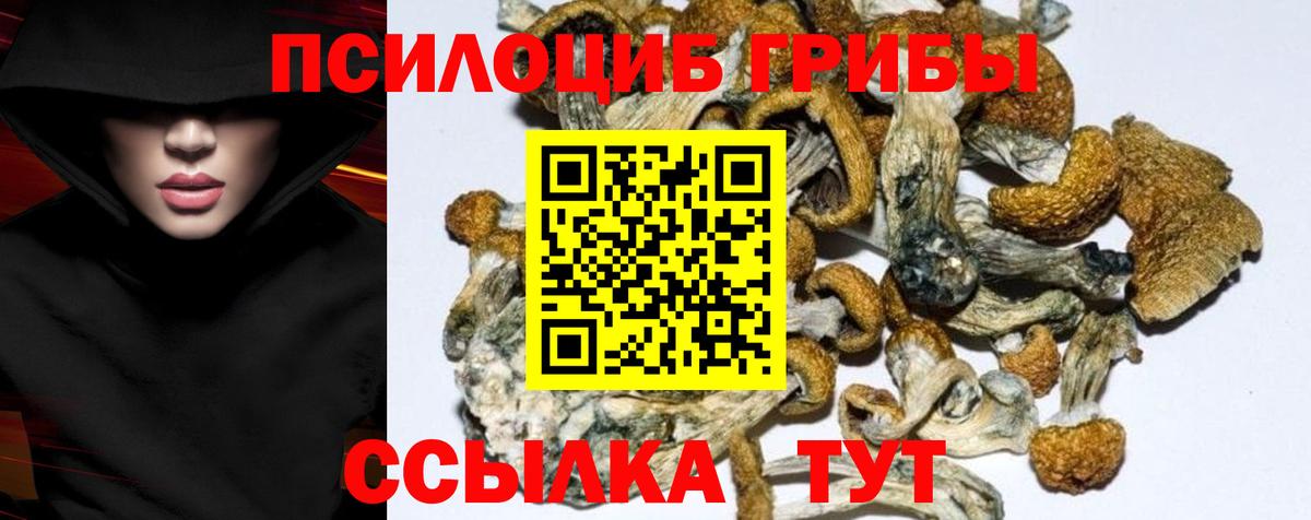 Псилоцибиновые грибы мицелий Кудымкар
